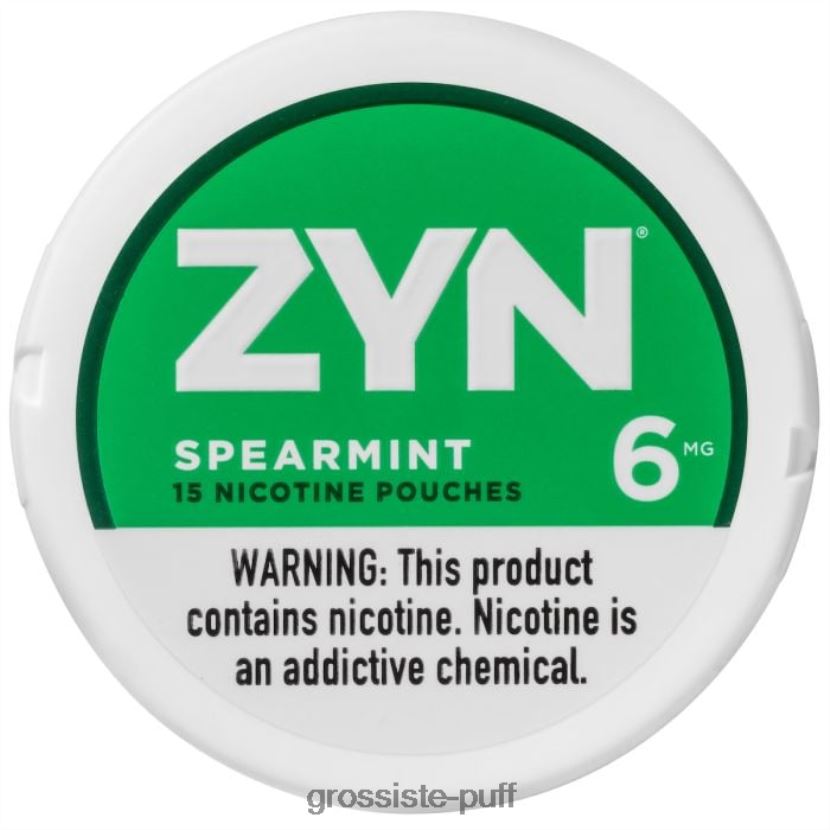 ZYN Nicotine Pouch 6mg Spearmint 0FPL4015