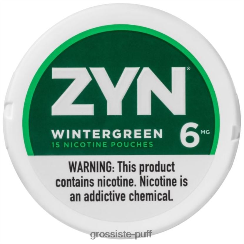 ZYN Nicotine Pouch 6mg Wintergreen 0FPL4014